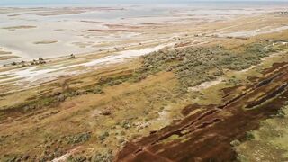 Азовское море: калкан и ставрида у берега