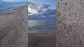 Калининградское побережье - калкан у берега, морская рыбалка