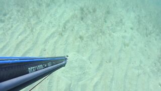 Kalkan (Калкан) подводная охота и береговая рыбалка это совместимо?