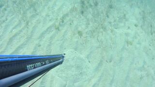 Kalkan (Калкан) подводная охота и береговая рыбалка это совместимо?