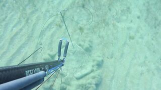 Kalkan (Калкан) подводная охота и береговая рыбалка это совместимо?