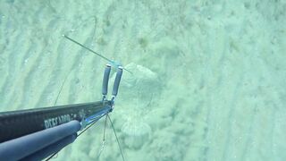 Kalkan (Калкан) подводная охота и береговая рыбалка это совместимо?