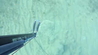 Kalkan (Калкан) подводная охота и береговая рыбалка это совместимо?