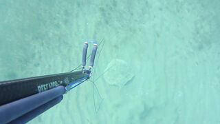 Kalkan (Калкан) подводная охота и береговая рыбалка это совместимо?