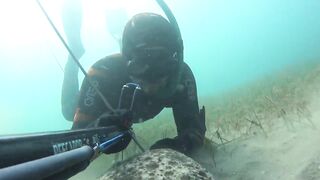 Kalkan (Калкан) подводная охота и береговая рыбалка это совместимо?