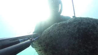 Kalkan (Калкан) подводная охота и береговая рыбалка это совместимо?