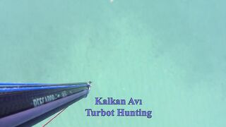 Kalkan (Калкан) подводная охота и береговая рыбалка это совместимо?