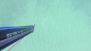 Kalkan (Калкан) подводная охота и береговая рыбалка это совместимо?