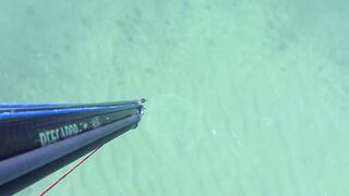 Kalkan (Калкан) подводная охота и береговая рыбалка это совместимо?