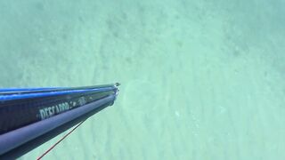 Kalkan (Калкан) подводная охота и береговая рыбалка это совместимо?