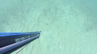 Kalkan (Калкан) подводная охота и береговая рыбалка это совместимо?