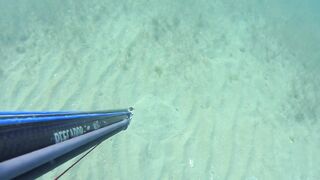 Kalkan (Калкан) подводная охота и береговая рыбалка это совместимо?