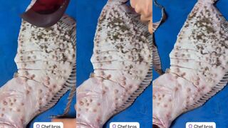 Kalkan (Калкан), рыбалка у берега и что готовят местные