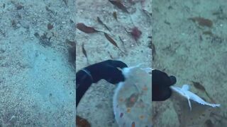 Kalkan (Калкан) - прибрежная рыбалка и поиск чистых окон