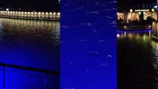 Turgutreis (Тургутреис), Bodrum 11.02.2024 что по берегу и свалу?