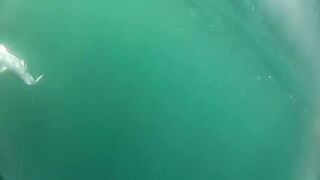 Khasab (Хасаб): команда на рыбалке у берега