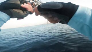 Khasab (Хасаб), Оман - джиг по императорскому луциану, май 2022