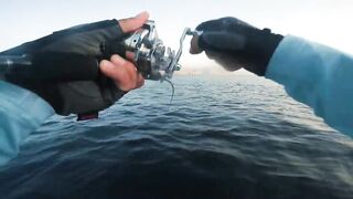 Khasab (Хасаб), Оман - джиг по императорскому луциану, май 2022