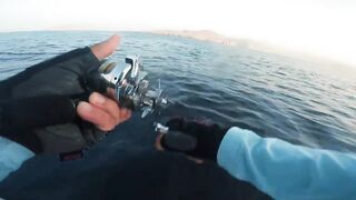 Khasab (Хасаб), Оман - джиг по императорскому луциану, май 2022