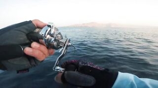 Khasab (Хасаб), Оман - джиг по императорскому луциану, май 2022