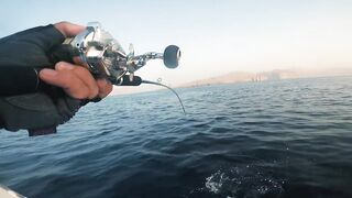 Khasab (Хасаб), Оман - джиг по императорскому луциану, май 2022