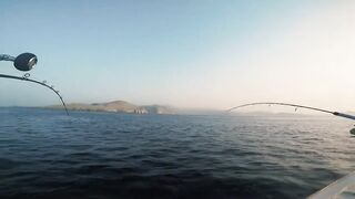 Khasab (Хасаб), Оман - джиг по императорскому луциану, май 2022