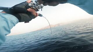 Khasab (Хасаб), Оман - джиг по императорскому луциану, май 2022