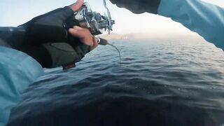 Khasab (Хасаб), Оман - джиг по императорскому луциану, май 2022