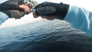 Khasab (Хасаб), Оман - джиг по императорскому луциану, май 2022