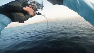 Khasab (Хасаб), Оман - джиг по императорскому луциану, май 2022