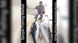 Quriyat (Курият), Оман - рыбный рынок и морская жизнь 2017