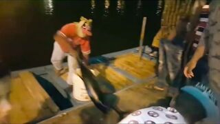 Quriyat (Курият), Оман - рыбный рынок и морская жизнь 2017