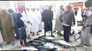 Quriyat (Курият), Оман - рыбный рынок и морская жизнь 2017