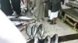 Quriyat (Курият), Оман - рыбный рынок и морская жизнь 2017