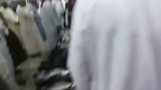 Quriyat (Курият), Оман - рыбный рынок и морская жизнь 2017