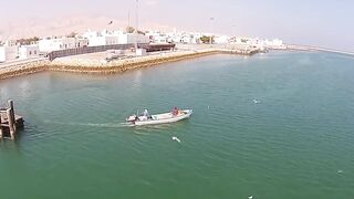Quriyat (Курият), Оман - рыбный рынок и морская жизнь 2017