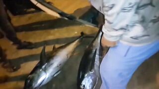 Quriyat (Курият), Оман - рыбный рынок и морская жизнь 2017