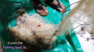 Морская рыбалка: точки у берега и кромки