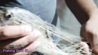 Морская рыбалка: точки у берега и кромки