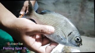 Морская рыбалка: точки у берега и кромки