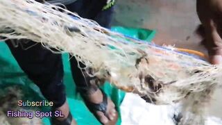 Морская рыбалка: точки у берега и кромки