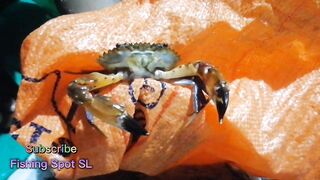 Морская рыбалка: точки у берега и кромки