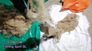 Морская рыбалка: точки у берега и кромки