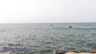 Морская рыбалка: точки у берега и кромки