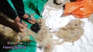 Морская рыбалка: точки у берега и кромки