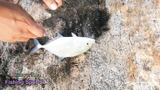 Морская рыбалка: точки у берега и кромки