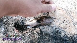 Морская рыбалка: точки у берега и кромки