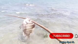 Морская рыбалка. Что по берегу и свалу.