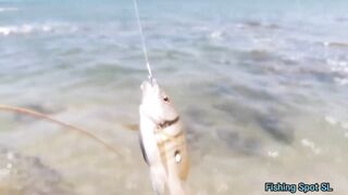 Морская рыбалка. Что по берегу и свалу.