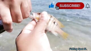 Морская рыбалка. Что по берегу и свалу.